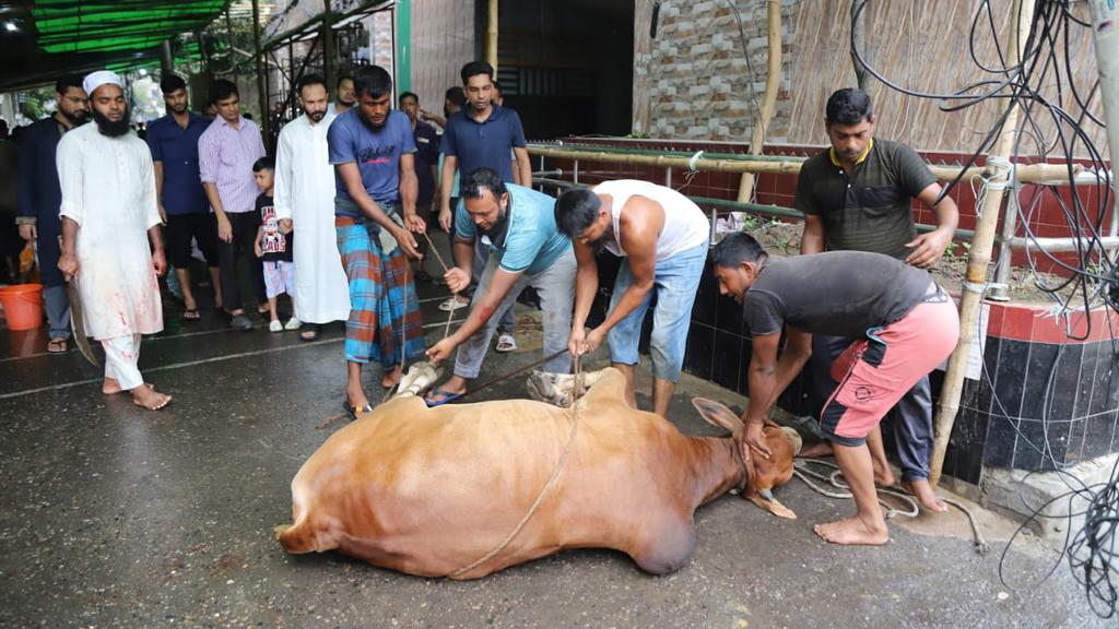 সারা দেশে ঈদুল আজহায় কোরবানি ১ কোটি ৪ লাখের বেশি