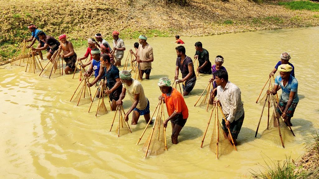 খালে পোলো দিয়ে মাছ ধরার উৎসব