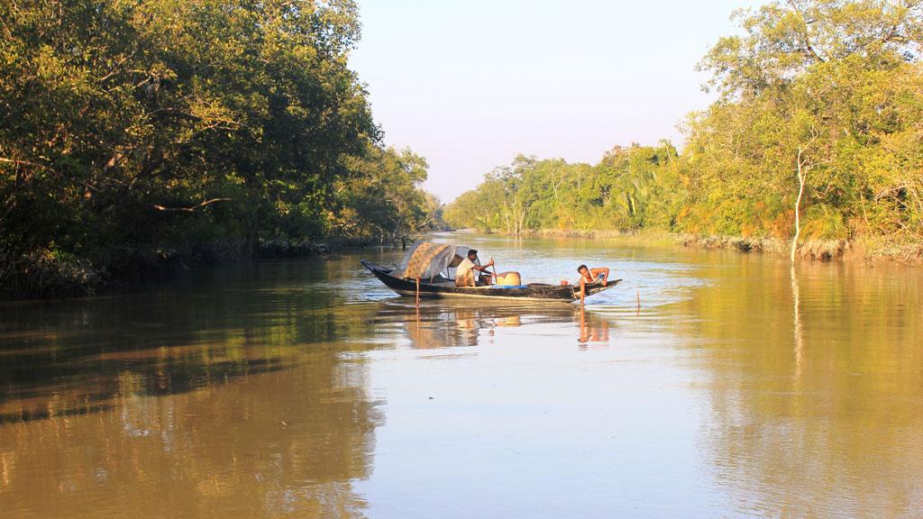 সুন্দরবনে নিষেধাজ্ঞা অমান্য করে কাঁকড়া ধরায় ২০ জেলে আটক 