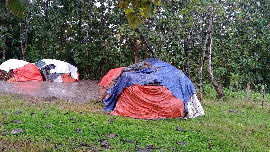 টানা বৃষ্টিতে আমন চাষিদের ক্ষতি