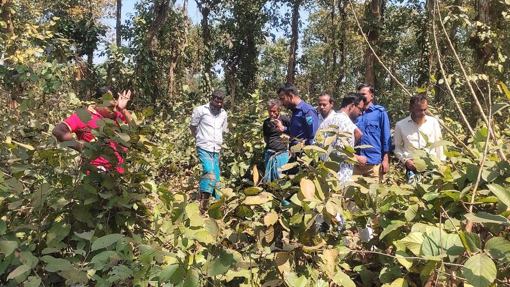 গজারি বনের গভীরে লুঙ্গি-পাঞ্জাবিতে ঢাকা খুলি ও হাড়গোড়