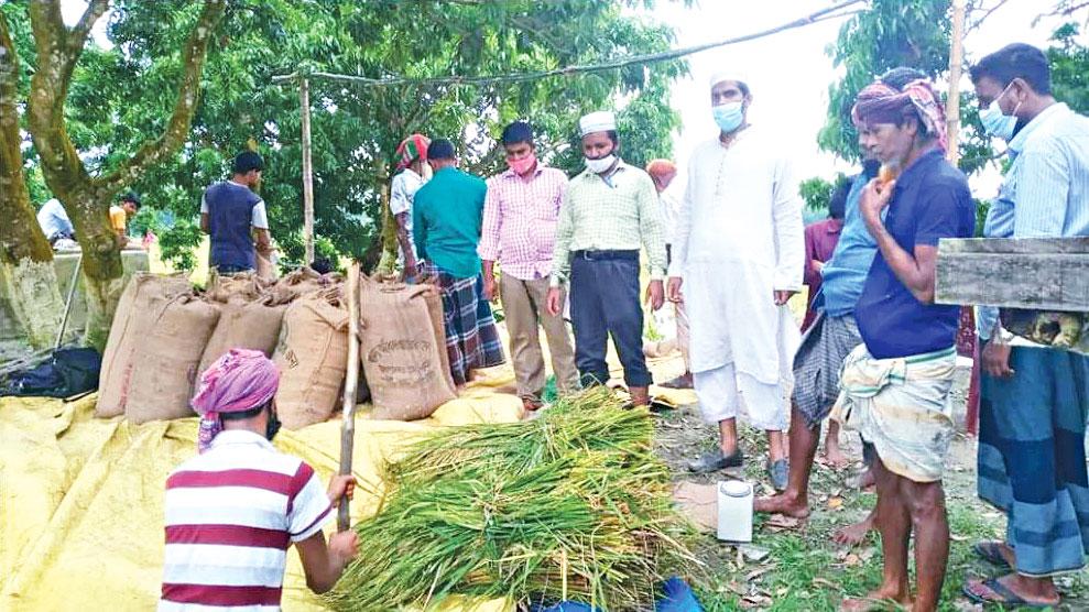 আউশ ধান বিঘায় ফলেছে ২৩ মণ