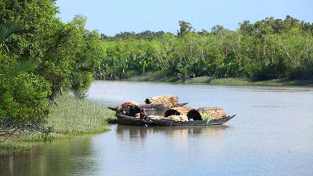 শরণখোলায় বিপুল পরিমাণ কাঁকড়া জব্দ