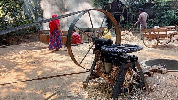 আখ নিচ্ছে না চিনিকল চলছে গুড় উৎপাদন