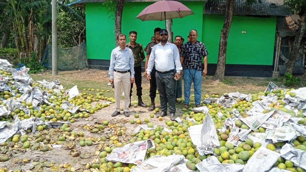 দেবহাটায় অপরিপক্ব রাসায়নিকমিশ্রিত আট টন আম জব্দ