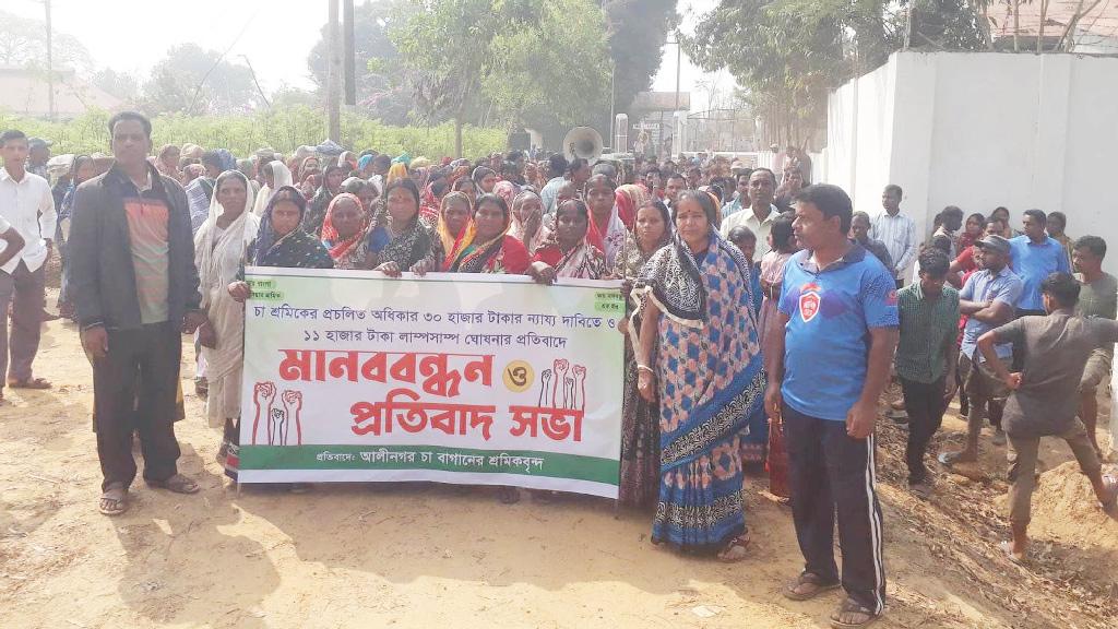 বকেয়া মজুরির দাবিতে কমলগঞ্জে চা-শ্রমিকদের বিক্ষোভ