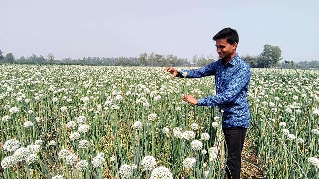 পেঁয়াজবীজ উৎপাদনে মামা-ভাগনের চমক