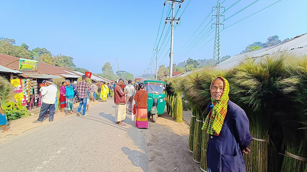 পাহাড়ে জন্ম নেওয়া উলফুলের চাহিদা সমতলেও