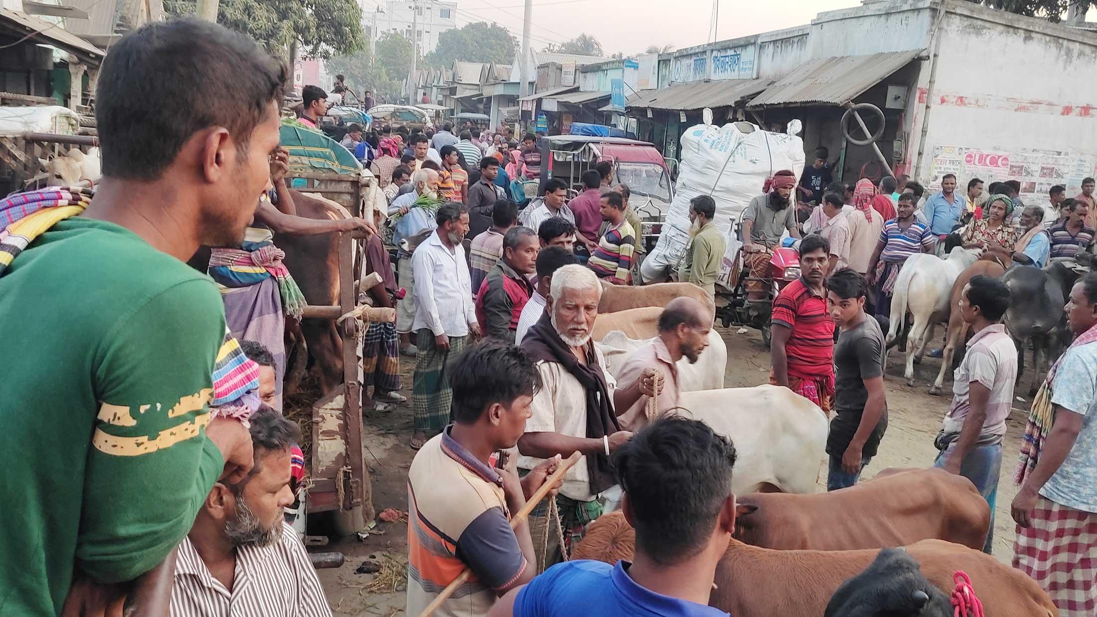 সড়কে পশুর হাট, ভোগান্তি