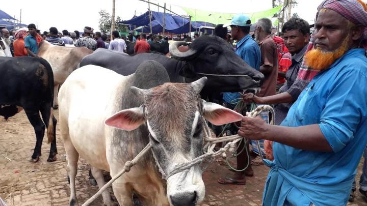 আফতাবনগরে পশুর হাট বসানোর ইজারা স্থগিতই থাকল