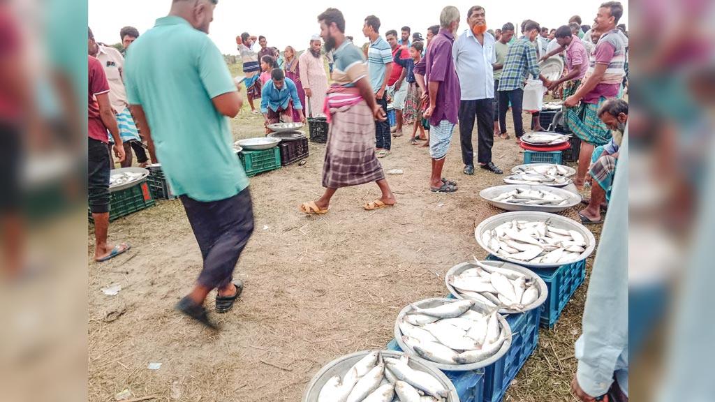 নদীতে চলছে অভিযান, তীরে ইলিশের হাট