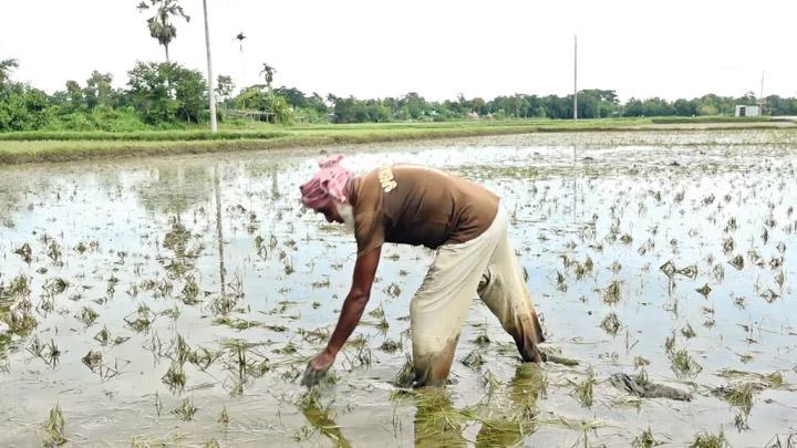 সীতাকুণ্ডে বন্যায় মৎস্য ও কৃষি খাতে ১৪ কোটি টাকার ক্ষতি