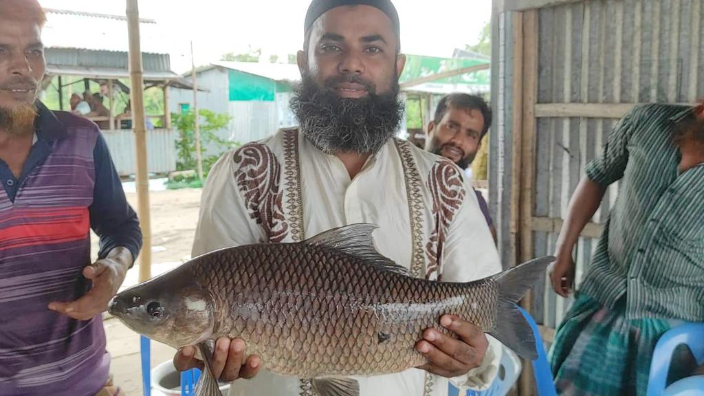 প্লাবন ভূমিতে রুপালি মাছ চাষে সাফল্য