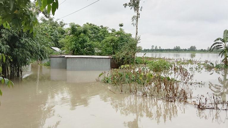 বিপৎসীমার ওপরে তিস্তা ও ধরলার পানি, ফের পানিবন্দী নতুন গ্রাম