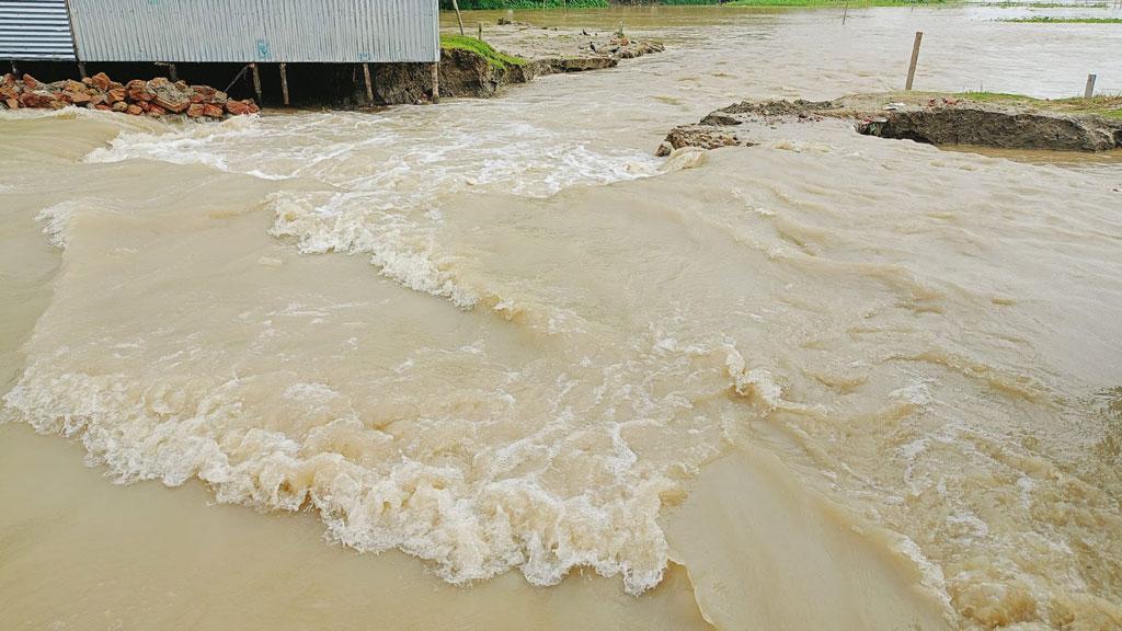 ঢল-বৃষ্টিতে গাইবান্ধায় ব্রহ্মপুত্রের পানি বিপৎসীমার ওপরে 