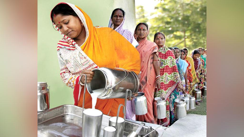 প্যারিসে আন্তর্জাতিক পুরস্কার পেল সুন্দরবনের নারীদের দুধ সমবায় সমিতি